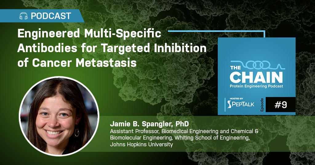 Engineered Multi-Specific Antibodies for Targeted Inhibition of Cancer Metastasis w/ Jamie Spangler